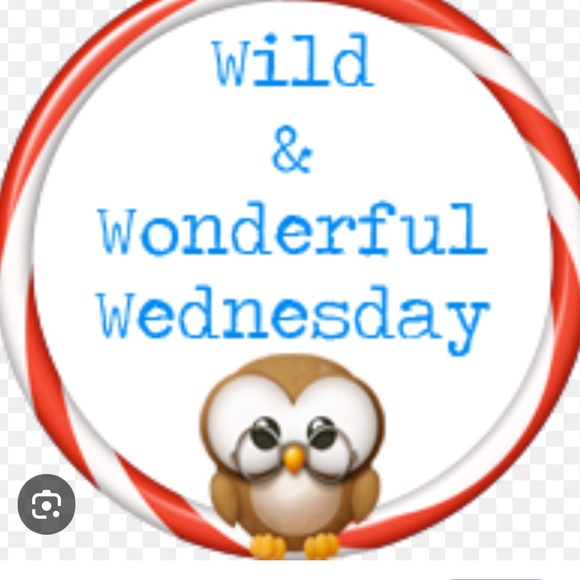 👗👗VINTAGE SHOW FRI OCT 31 8am Cashmere Wool Silk Linen👗👗 - Picture 6 of 15